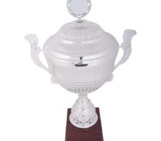 Etapevinder Sølvpokal
