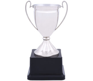 Knockout Sølvpokal