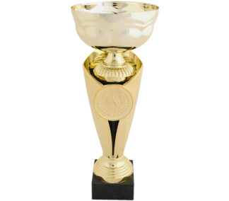 Næstved Guldpokal - stor