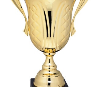 Genialt pokal guld 615 mm