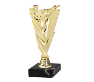 Guldstatuette kampsport